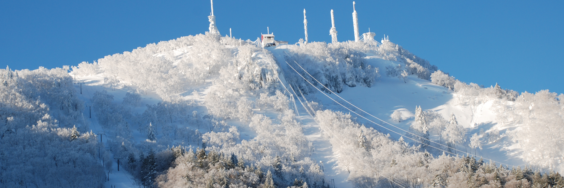 加森グループ施設共通の特典 | 北海道札幌市のスキー場 スキー 