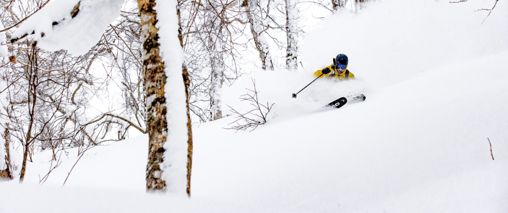 2024〜2025シーズン ナイター専用シーズン券 1枚 2024〜2025シーズン ナイター専用シーズン券 1枚 97566-12-